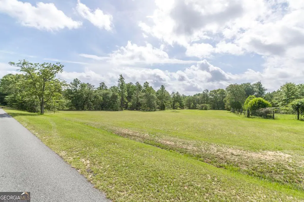 0 Georgia Road, Butler, GA 31006 - #1