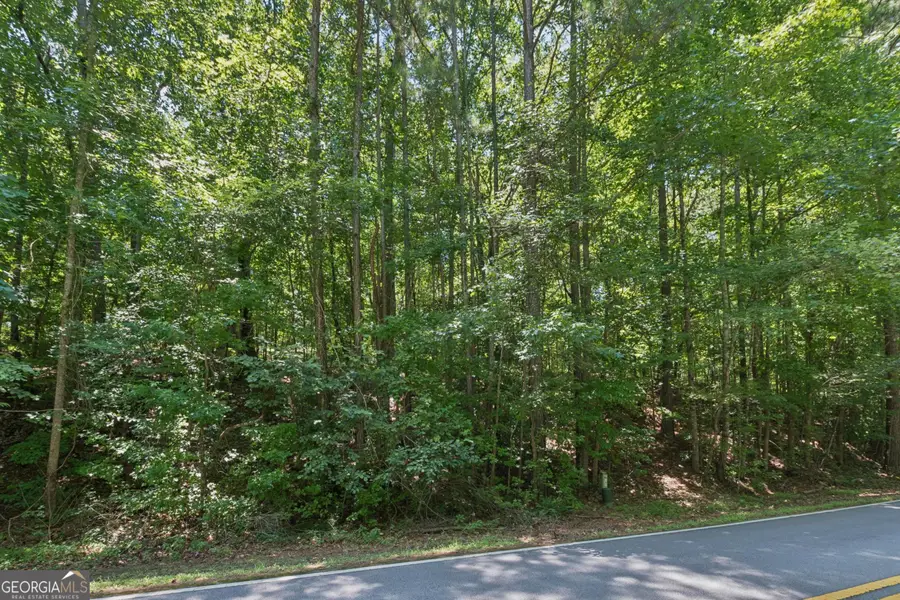 0 Griffin Mountain Trail Trail Ne, Conyers, GA 30013 - #3