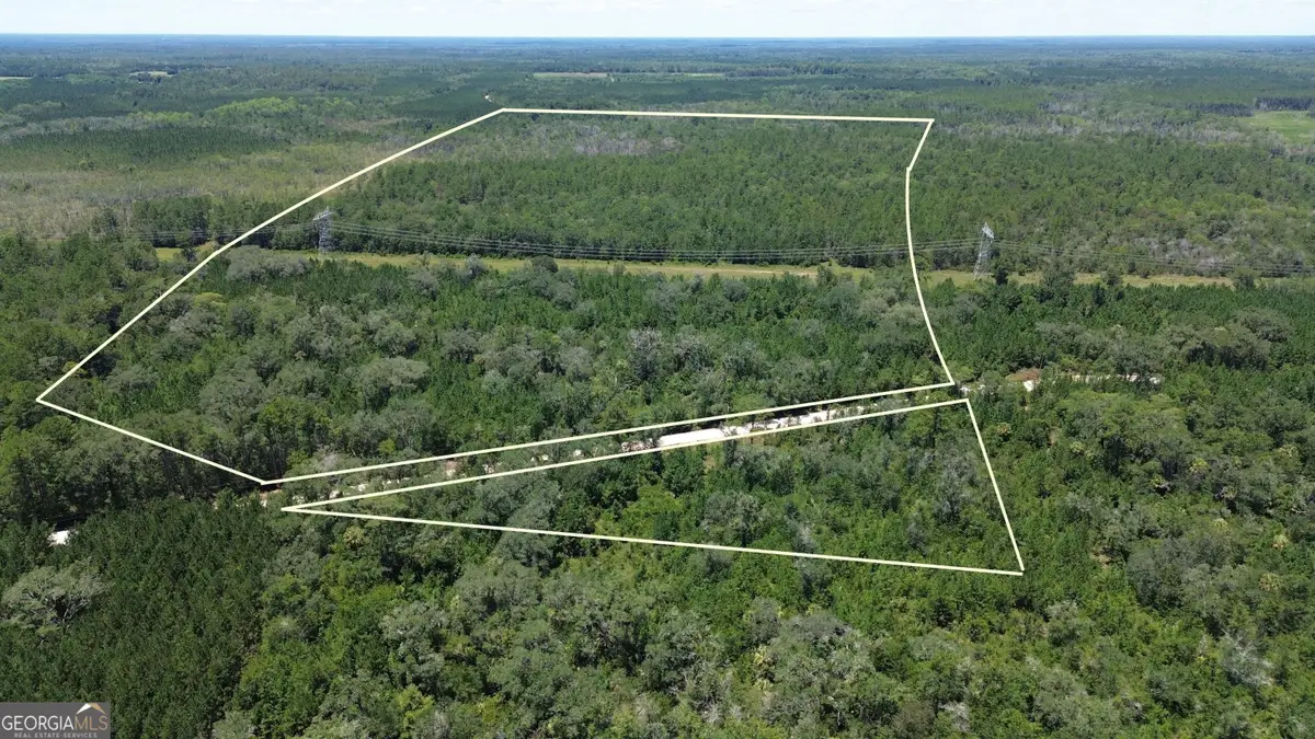 TRACT A Butler Johnson Road, White Oak, GA 31568 - #1