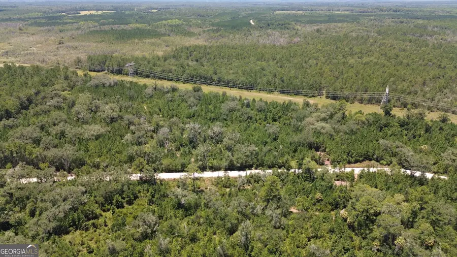TRACT A Butler Johnson Road, White Oak, GA 31568 - #2