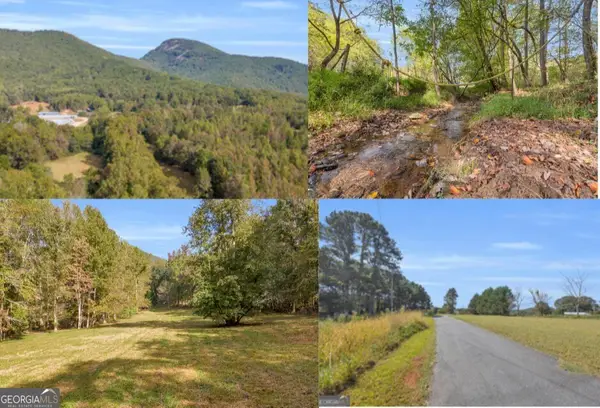 0 Turner Road, Cleveland, GA 30528