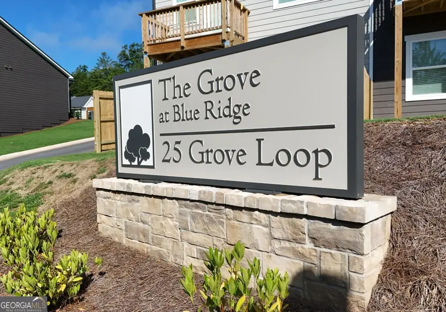 25 Grove Loop #51, Blue Ridge, GA 30513 - #2