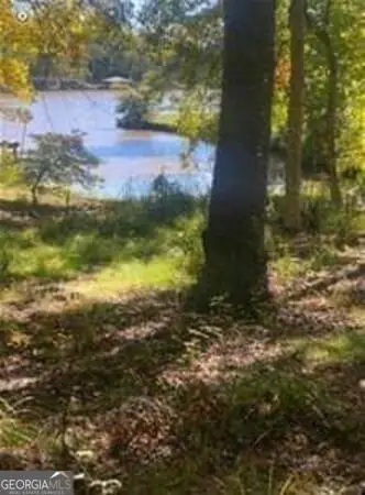 48 Franklin Road, Eatonton, GA 31024 - #3