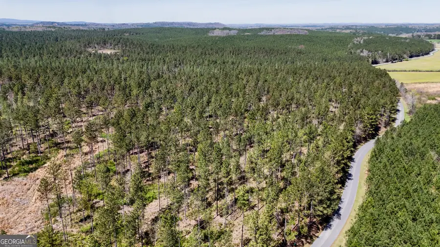 28 ACRES Youngs Farm Road, Cedartown, GA 30125 - #2