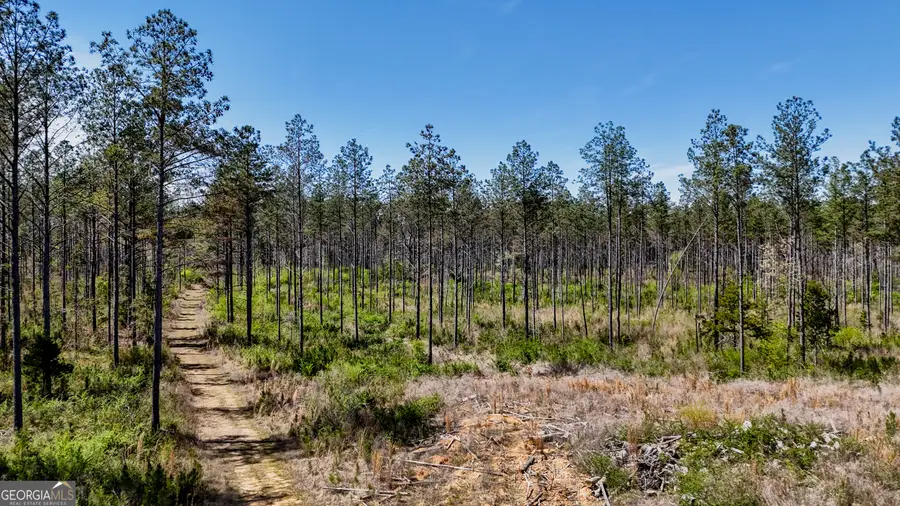 28 ACRES Youngs Farm Road, Cedartown, GA 30125 - #3