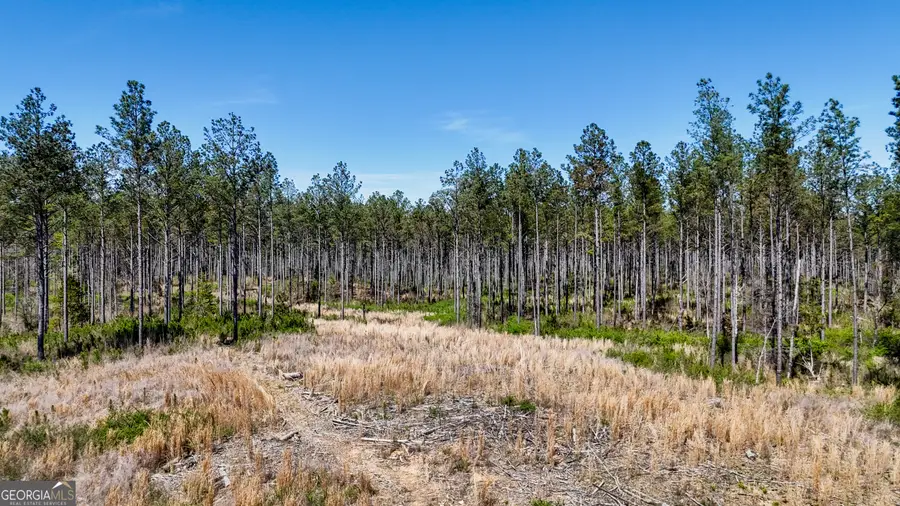 20 ACRES Youngs Farm Road, Cedartown, GA 30125 - #3
