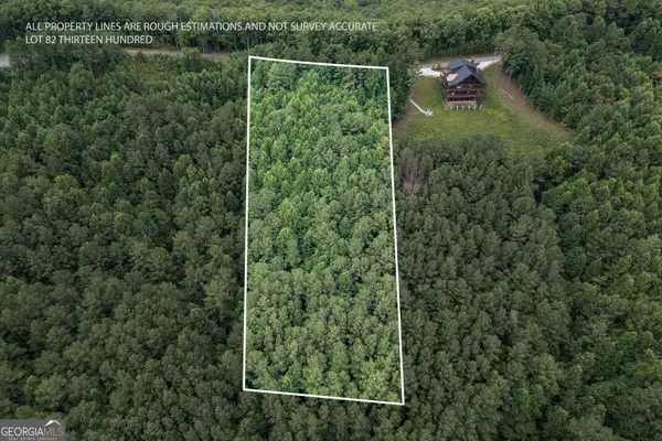LOT 82 Thirteen Hundred, Blairsville, GA 30512