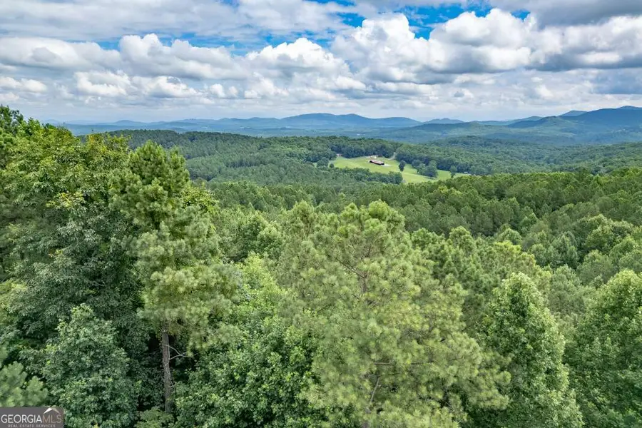 LOT 82 Thirteen Hundred, Blairsville, GA 30512 - #2