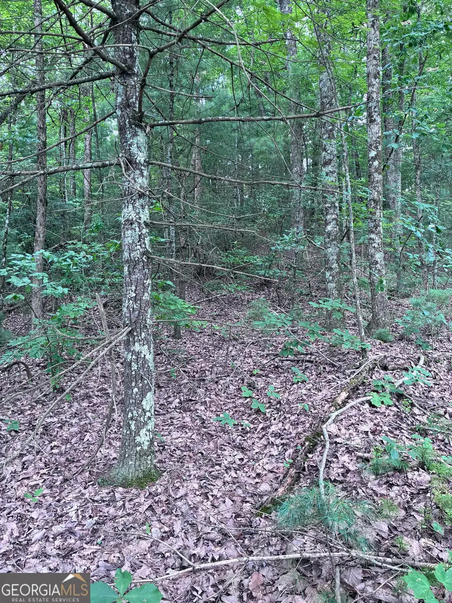 829 Morton Drive, Ellijay, GA 30540 - #2