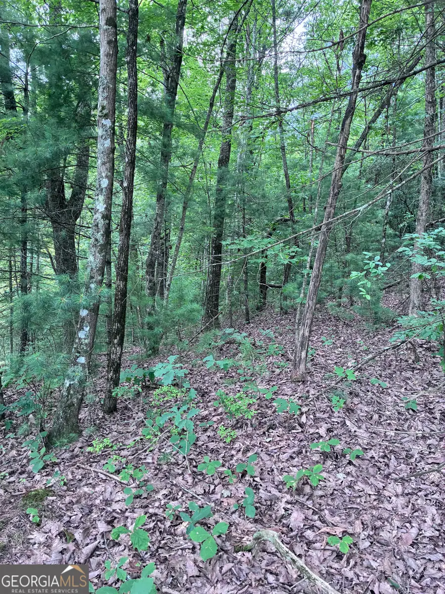 829 Morton Drive, Ellijay, GA 30540 - #3
