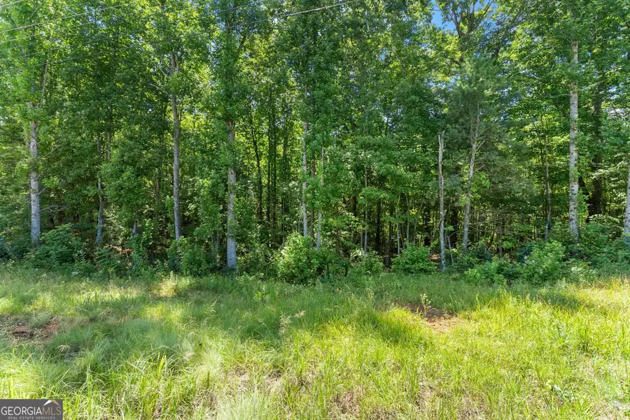 0 Hwy 384, Cleveland, GA 30528 - #3