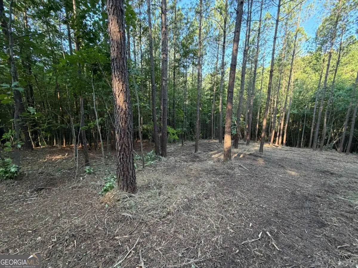 0 Lone Bear Path, Dallas, GA 30132 - #1