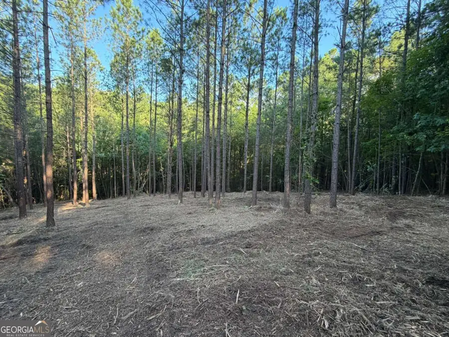 0 Lone Bear Path, Dallas, GA 30132 - #2