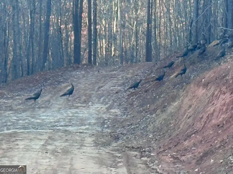 0 Lone Bear Path, Dallas, GA 30132 - #3