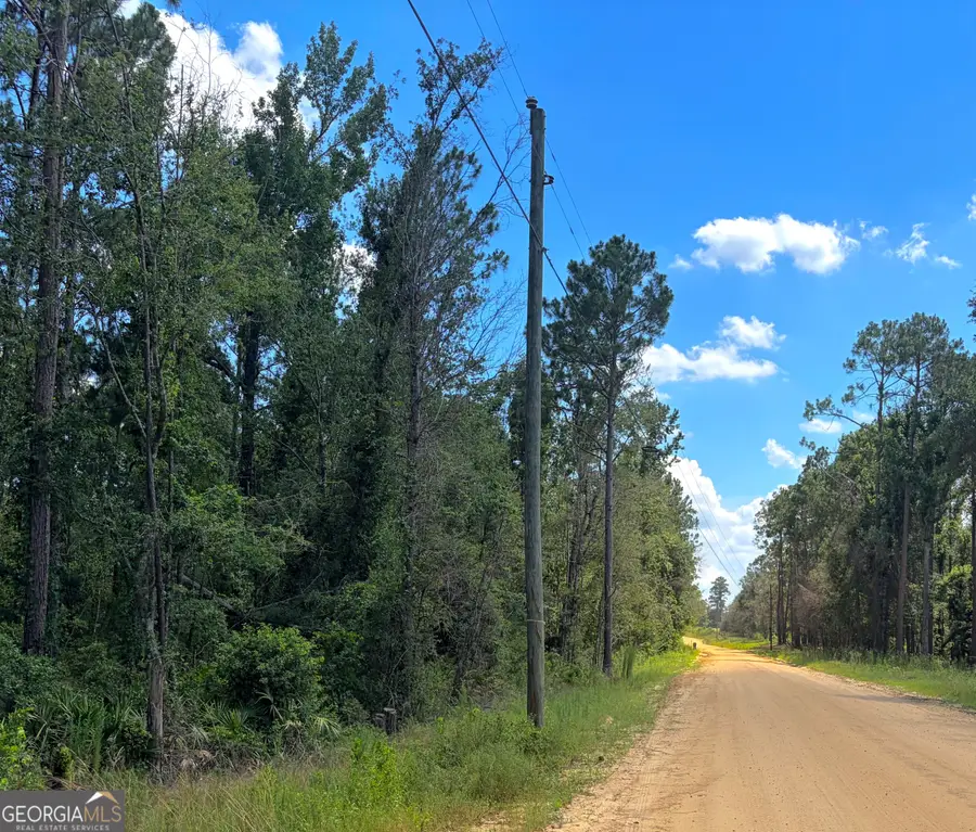 0 Ernest Carter Road, Hazlehurst, GA 31539 - #3