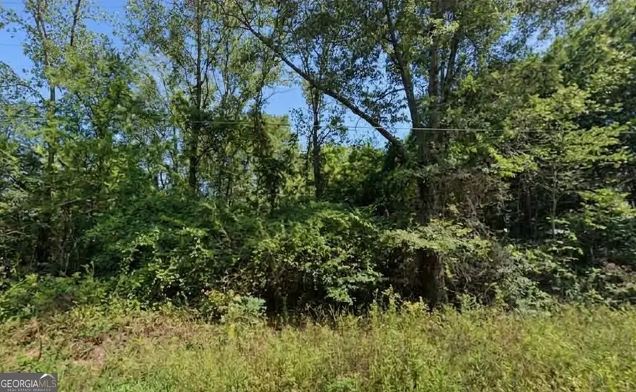 0 Mccullars Drive #LOT 4, Weaver, AL 36277 - #2