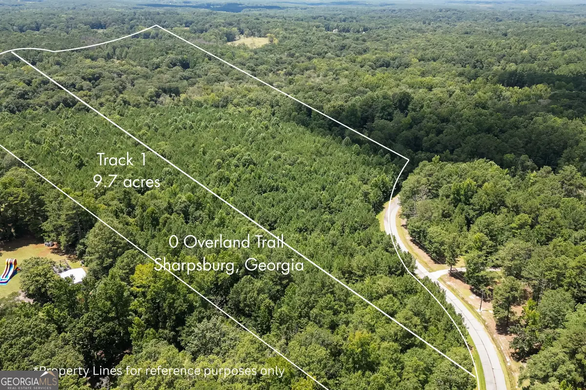 0 Overland Trail, Sharpsburg, GA 30277 - #1