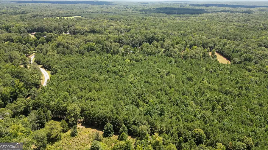 0 Overland Trail, Sharpsburg, GA 30277 - #2