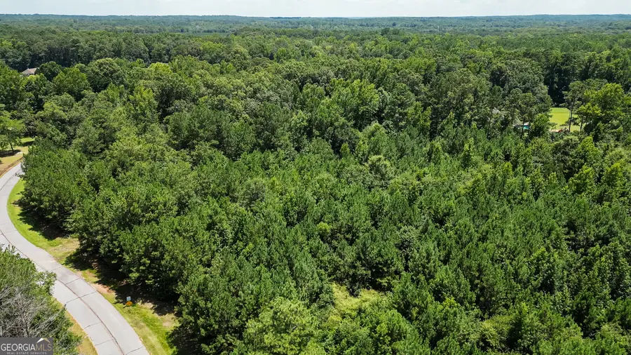 0 Overland Trail, Sharpsburg, GA 30277 - #3