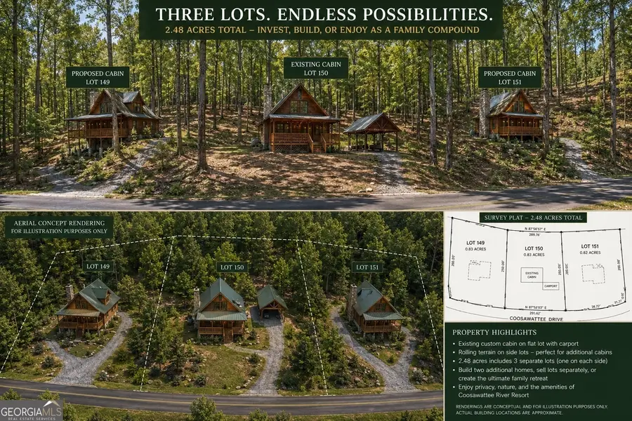 1247 Newport Drive, Ellijay, GA 30540 - #3