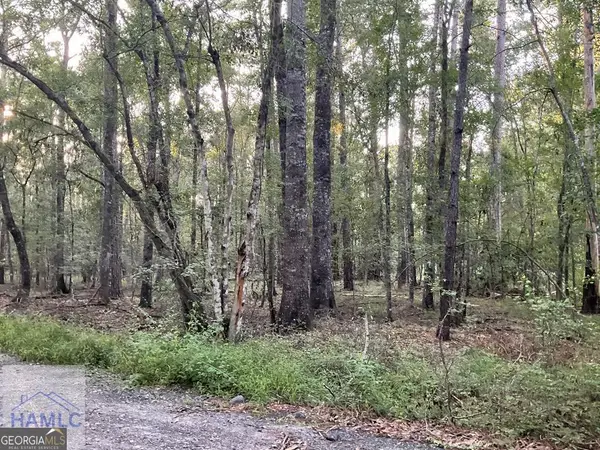 0 Cherry Lane, Hinesville, GA 31313