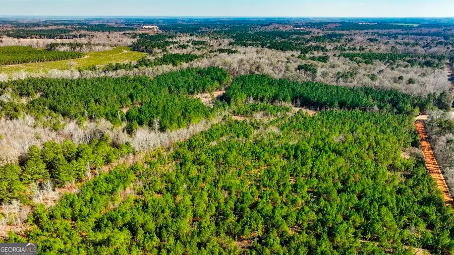 0 Crooked Road #TRACT 1, Millen, GA 30442 - #2