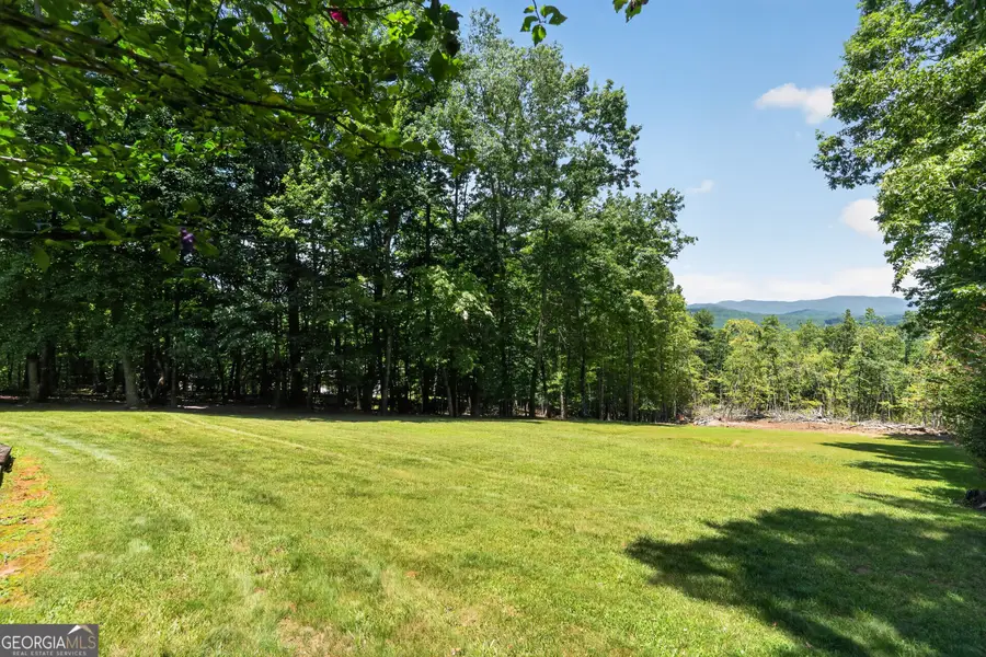 330 Scarlet Lane, Lakemont, GA 30552 - #3