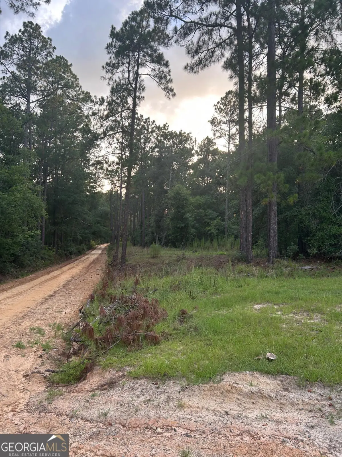 0 Edenfield Road, Twin City, GA 30471 - #1