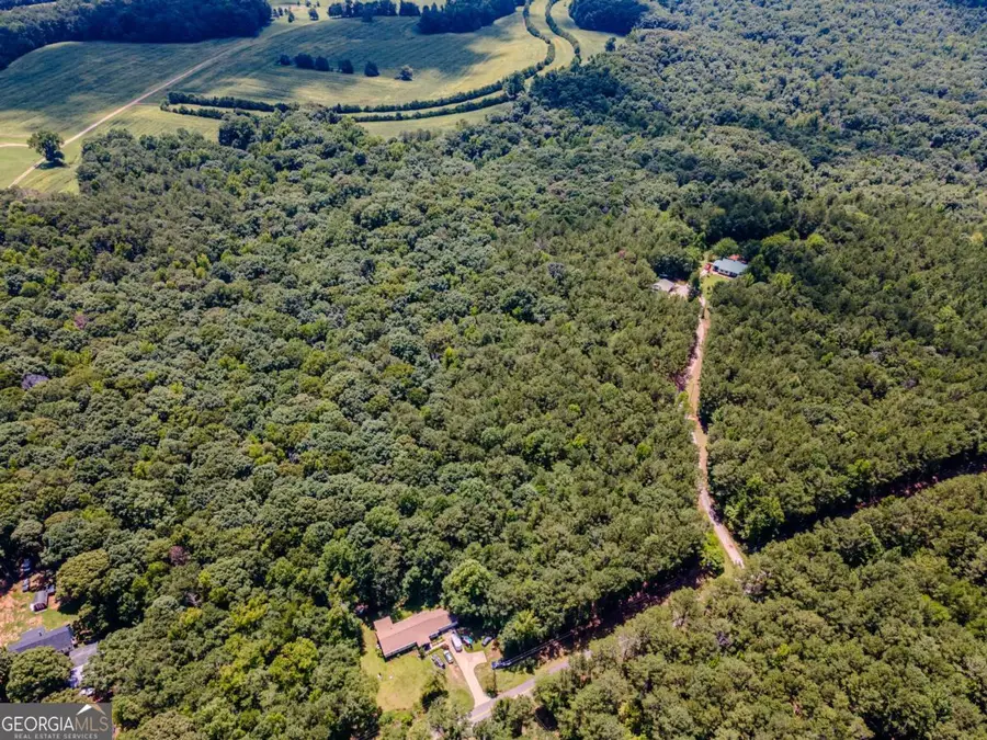 0 Browning Shoals Road, Social Circle, GA 30025 - #3