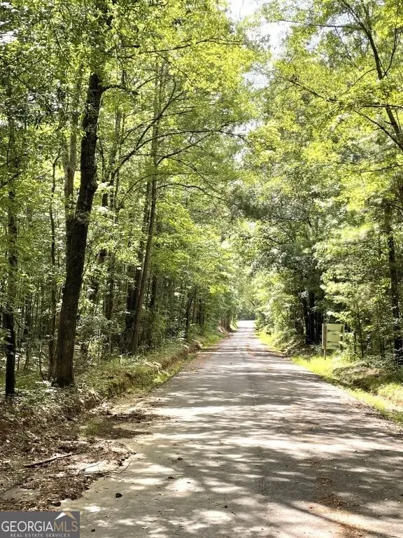 0 Pickett Bridge Road, Covington, GA 30016 - #3