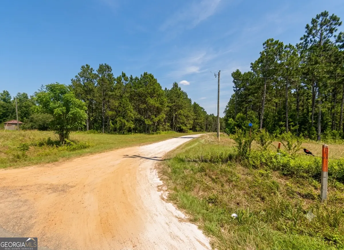 0 Spotlight Circle, Chester, GA 31012 - #1