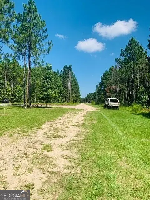 0 Spotlight Circle, Chester, GA 31012 - #2