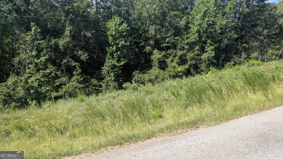 111 Chipper Lane, Sparta, GA 31087 - #3