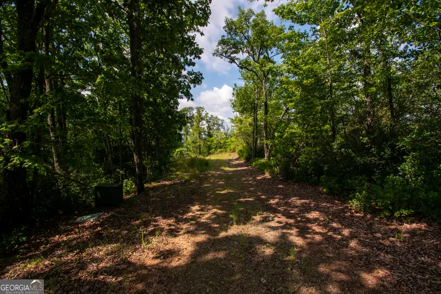 850 Bluff Road, Marble, NC 28905 - #3