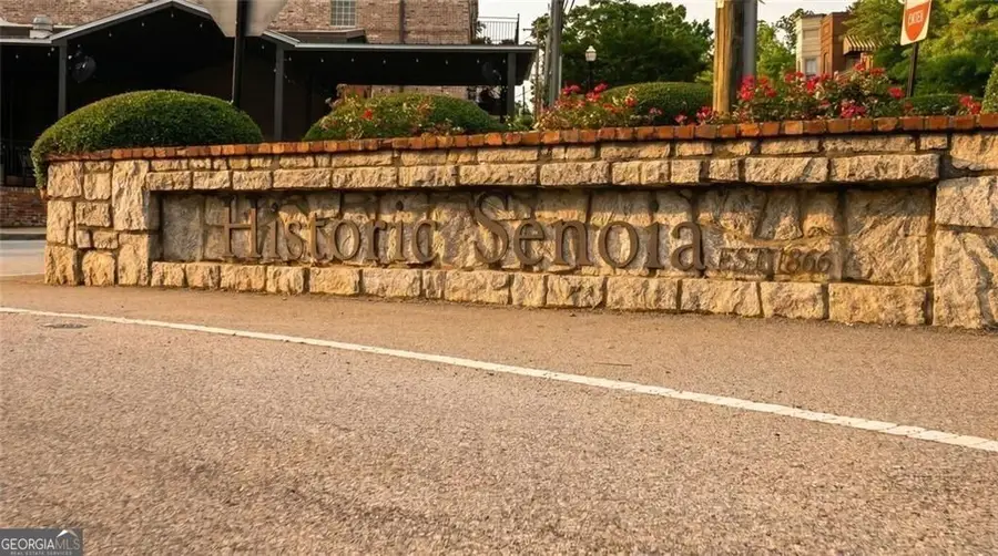 61 Bourbon Street #7, Senoia, GA 30276 - #2
