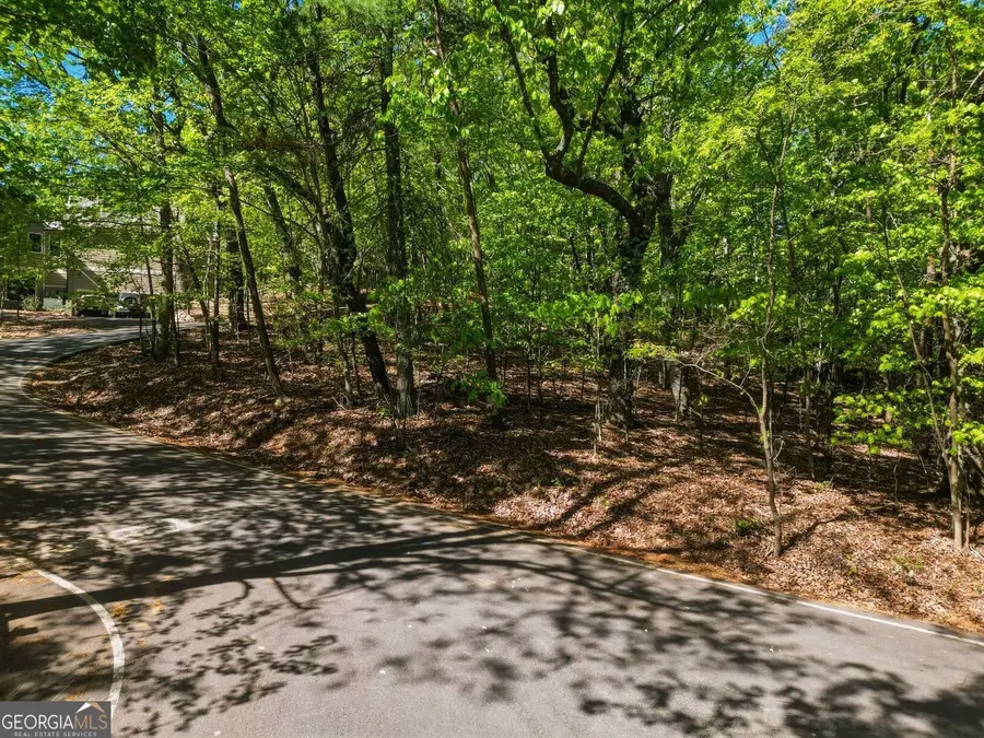 1095 Mcelroy Mountain Drive, Big Canoe, GA 30143 - #3