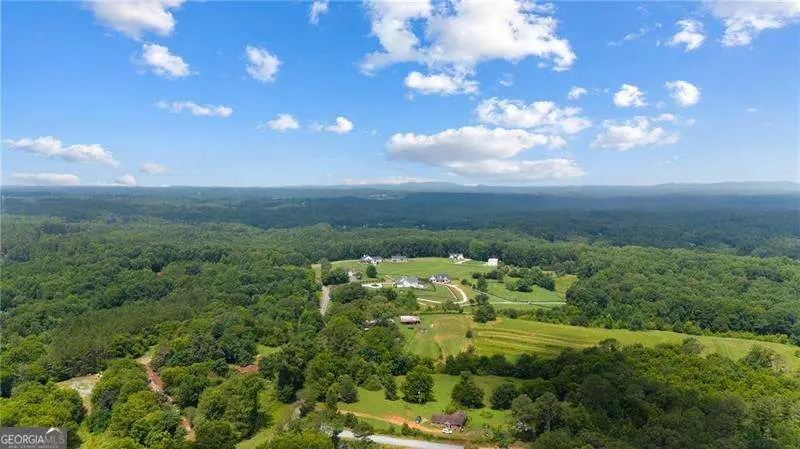685 Newt Green Road, Cumming, GA 30028 - #2