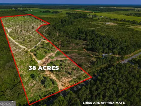 38 ACRES N Ga Highway 240 N Connector, Mauk, GA 31058