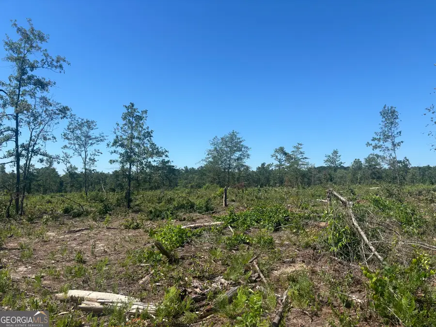 38 ACRES N Ga Highway 240 N Connector, Mauk, GA 31058 - #2
