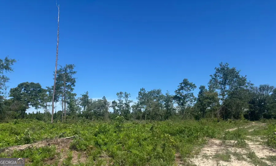 38 ACRES N Ga Highway 240 N Connector, Mauk, GA 31058 - #3
