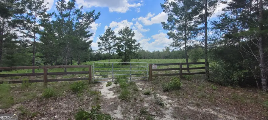 10.29 ACRES Holmes Valley Road, Vernon, FL 32462 - #2