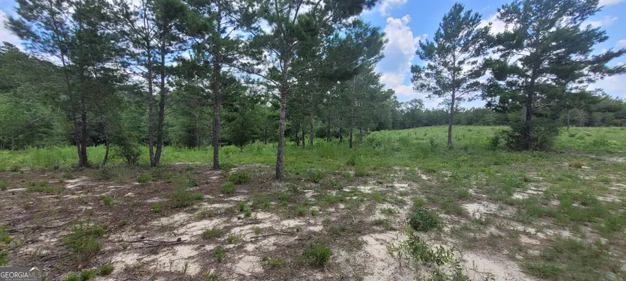 10.29 ACRES Holmes Valley Road, Vernon, FL 32462 - #3