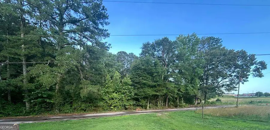 0 Williams Street, Woodland, AL 36280 - #3