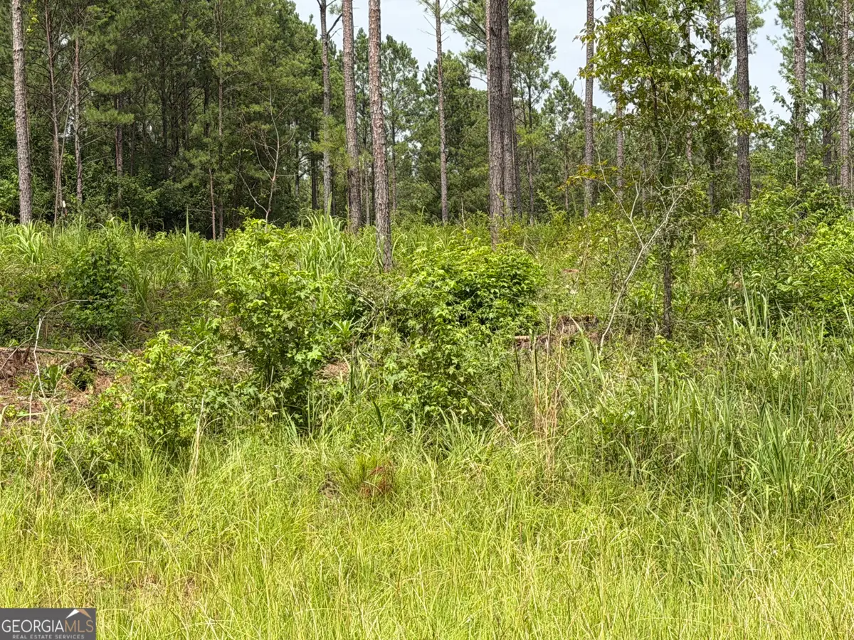 007 Old Monticello Road, Milledgeville, GA 31061 - #1