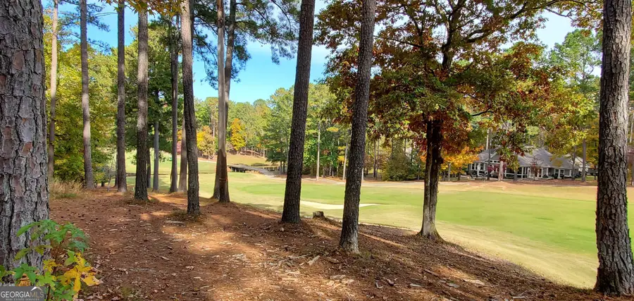 2320 Club Drive, Greensboro, GA 30642 - #2