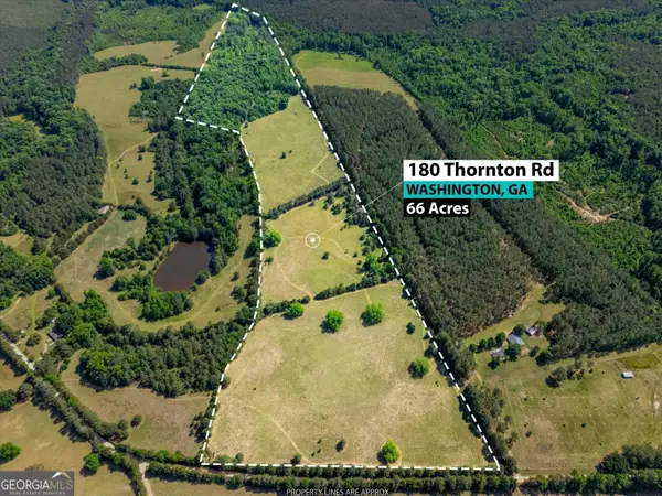 0 Thornton Rd, Washington, GA 30673