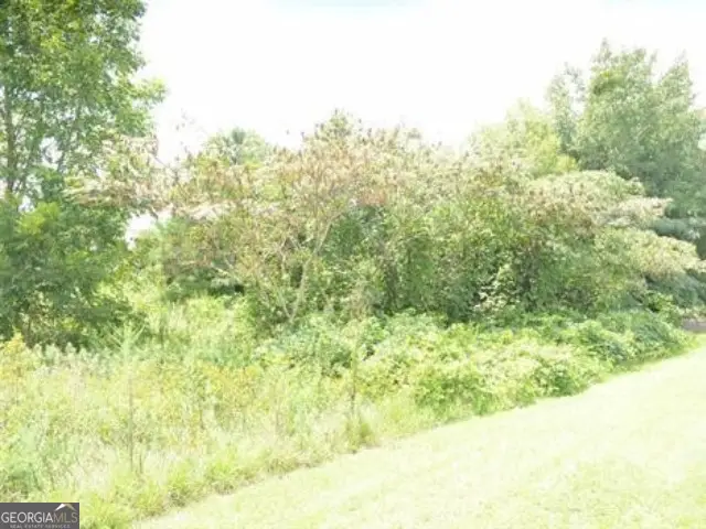 0 Gunn Road, Byron, GA 31008 - #2