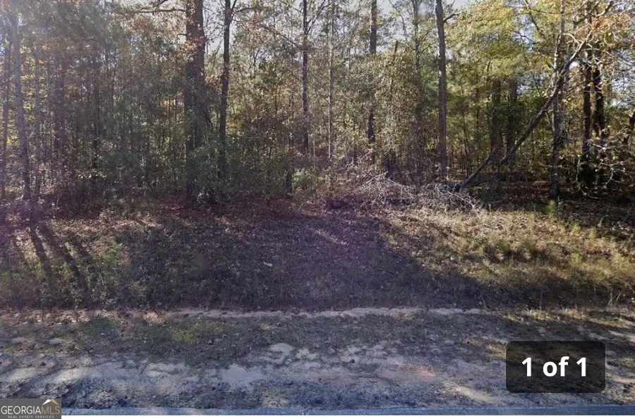 3063 Hamlin Road, Lizella, GA 31052 - #2