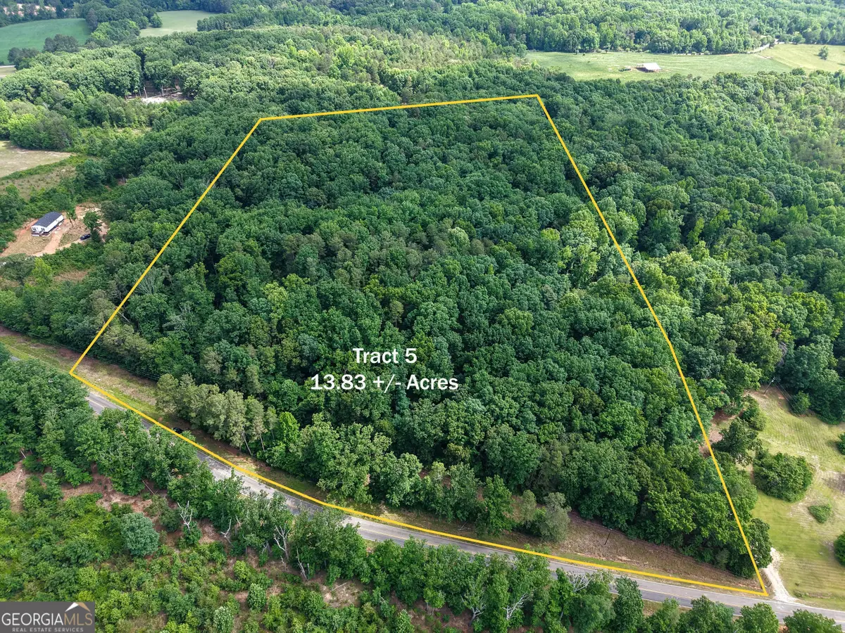 TRACT 5 Christmas Tree Road, Homer, GA 30547 - #1