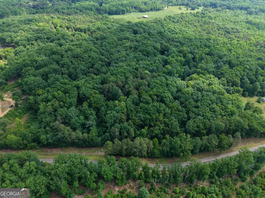 TRACT 5 Christmas Tree Road, Homer, GA 30547 - #2